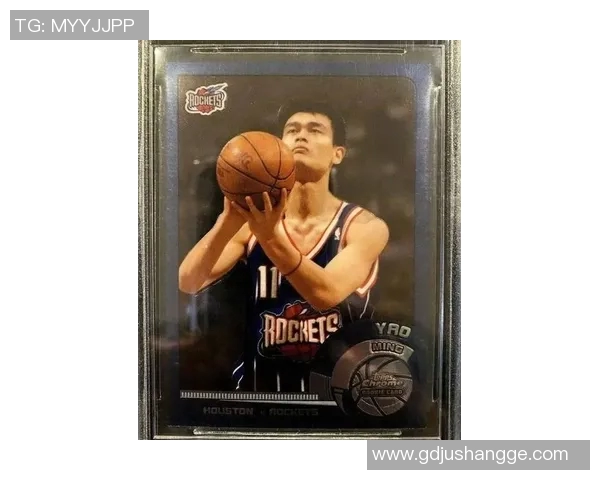 迪奥深度解析姚明的篮球生涯与影响力传承与创新的完美结合