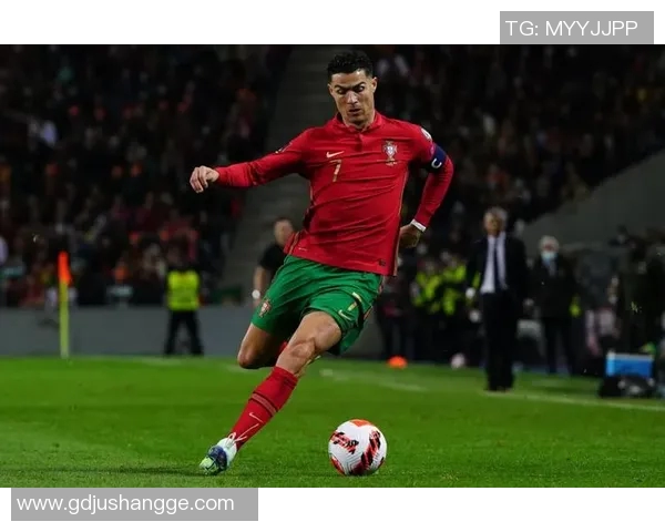 足球明星高清圆形照片展示各大球星风采与魅力的完美合集