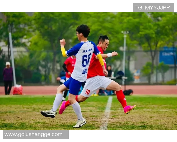 南湖足球明星阵容全景展示精彩瞬间与辉煌成就